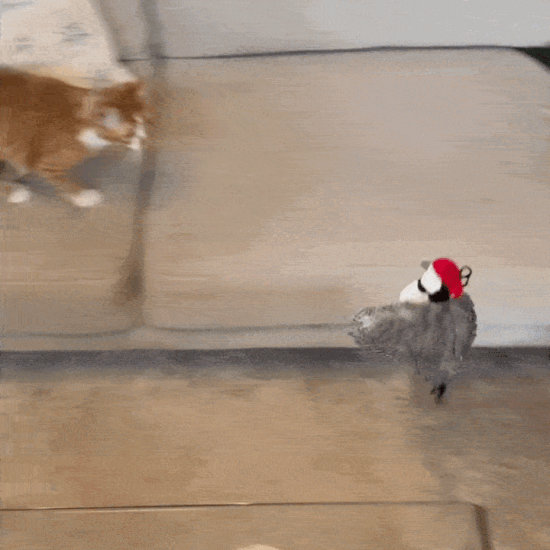 Flappy Bird Action GIF