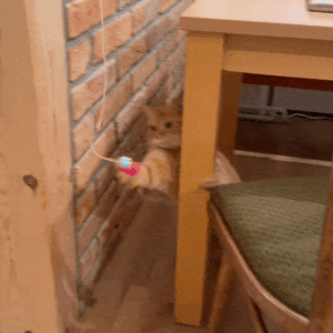 DoorPlay Pro Action GIF