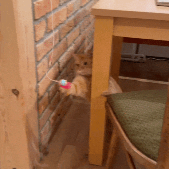 DoorPlay Pro Action GIF
